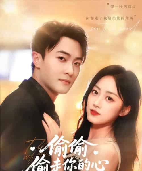 偷偷偷走你的心(50集)薛琪慧&杨文昊&白丹形-紫橙网创项目网