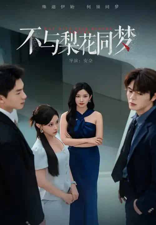 不与梨花同梦(50集全)张玉娇&徐扬灏-紫橙网创项目网