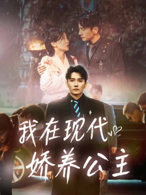 我在现代娇养公主 我在现代娇养公主