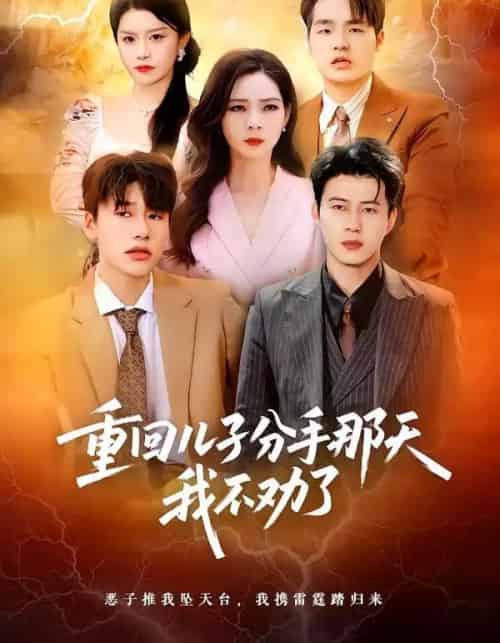 重回儿子分手那天，我不劝了（28集全）黄科＆吴愿-紫橙网创项目网