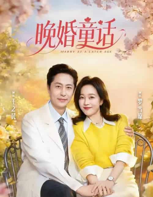 晚婚童话(81集全)王之民&罗雪琼-紫橙网创项目网