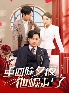 重回除夕夜他崛起了（89集） - 紫橙阁短剧