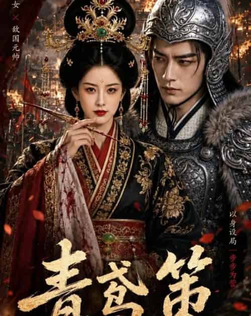 青鸢策（64集全）AI-紫橙网创项目网