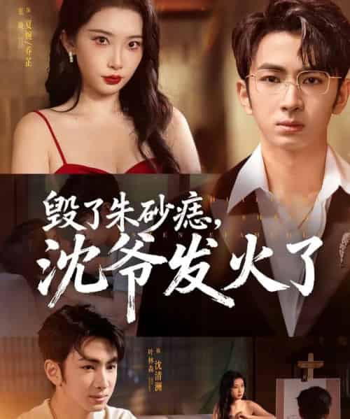 毁了朱砂痣,沈爷发火了(60集全)叶森林&张璇-紫橙网创项目网