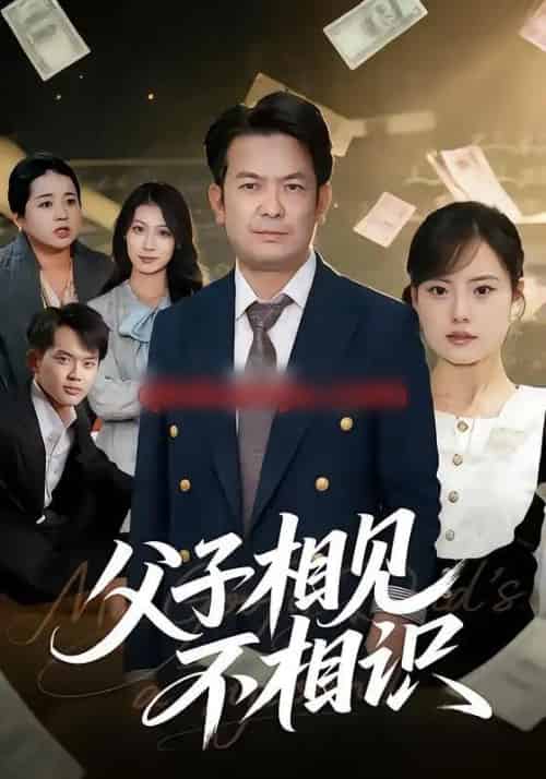 父子相见不相识（58集全）张贺＆卫洁-紫橙网创项目网