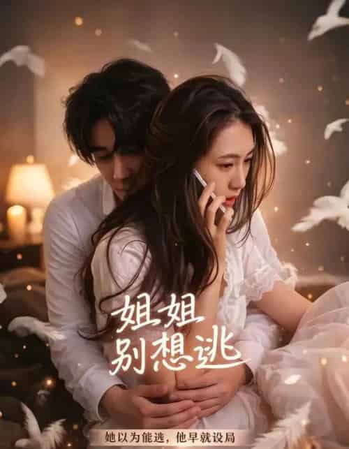 姐姐别想逃(60集全)林虹&张浩然-紫橙网创项目网