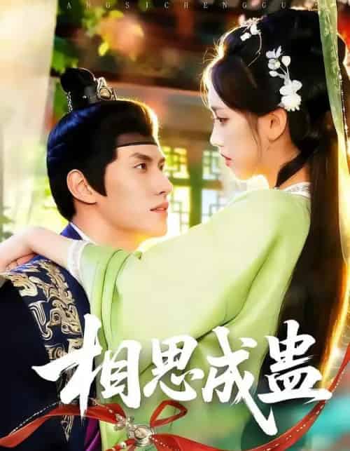 相思成蛊（70集全）陈品延＆何子雯-紫橙网创项目网