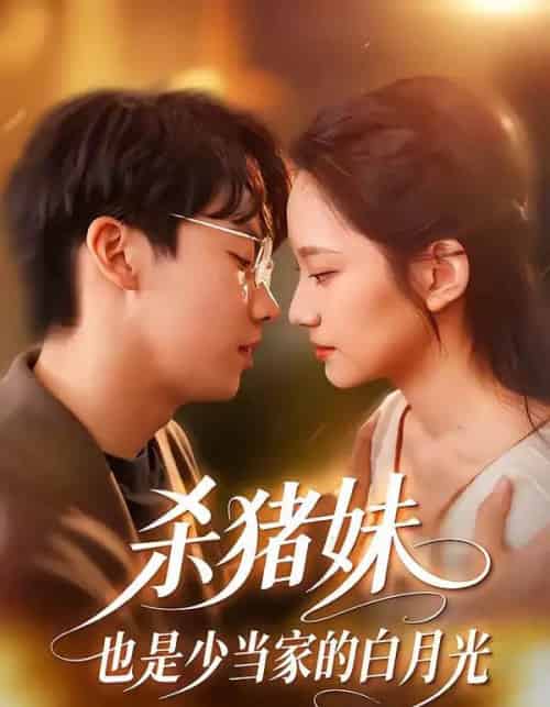 杀猪妹，也是少当家的白月光（60集全）刘相奇＆郑曾蓉-紫橙网创项目网