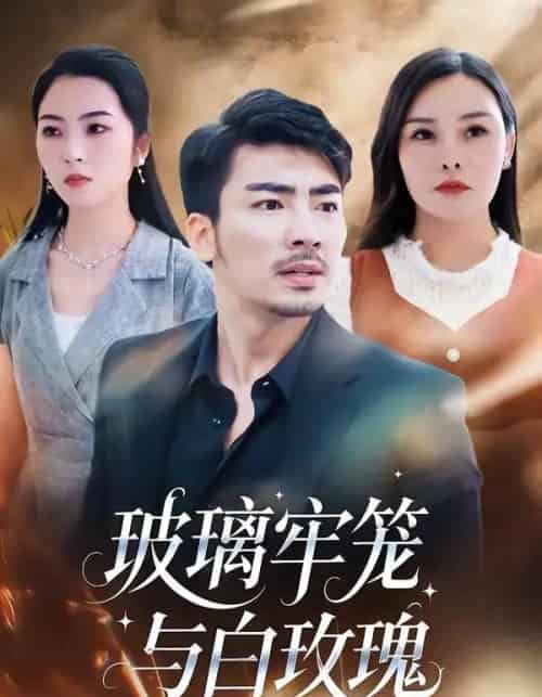 玻璃牢笼与白玫瑰(75集全)张瀚文(男)&郑曦月-紫橙网创项目网