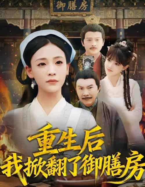 重生后我掀翻了御膳房（69集全）杨晨曦＆史强-紫橙网创项目网