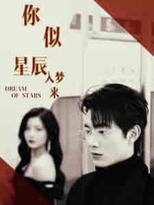 你似星辰入梦来（105集） - 紫橙阁短剧