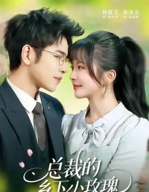总裁的乡下小玫瑰（102集全）杨彦光＆林筱艾-紫橙网创项目网
