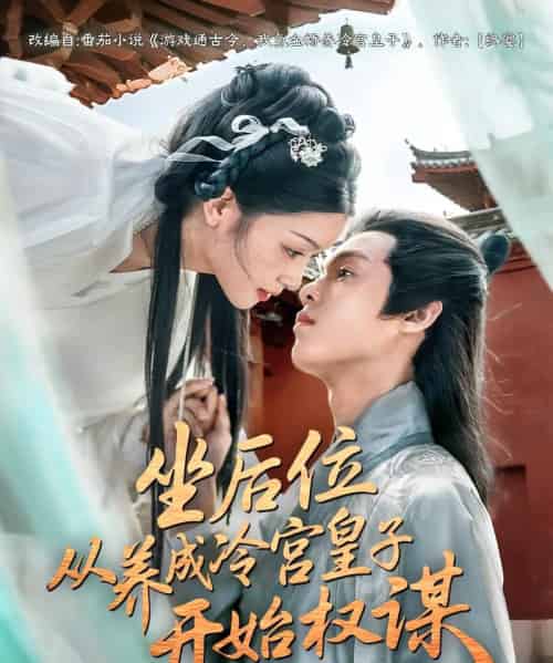 坐后位从养成冷宫皇子开始权谋（80集） - 紫橙阁短剧