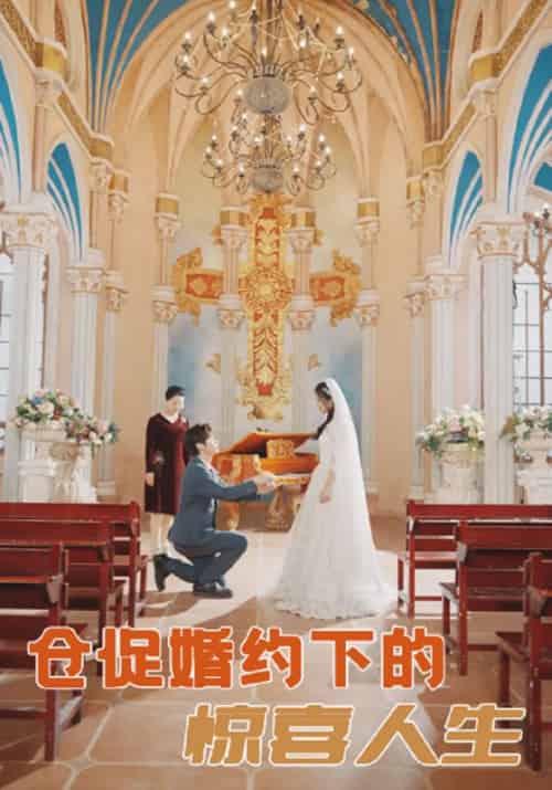 仓促婚约下的惊喜人生（99集全）顾明修＆舒欣 - 紫橙阁短剧