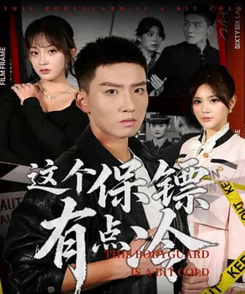 这个保镖有点冷（80集全）霍文琦＆张伊晨-紫橙网创项目网