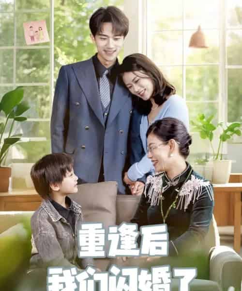 重逢后我们闪婚了 重逢后我们闪婚了