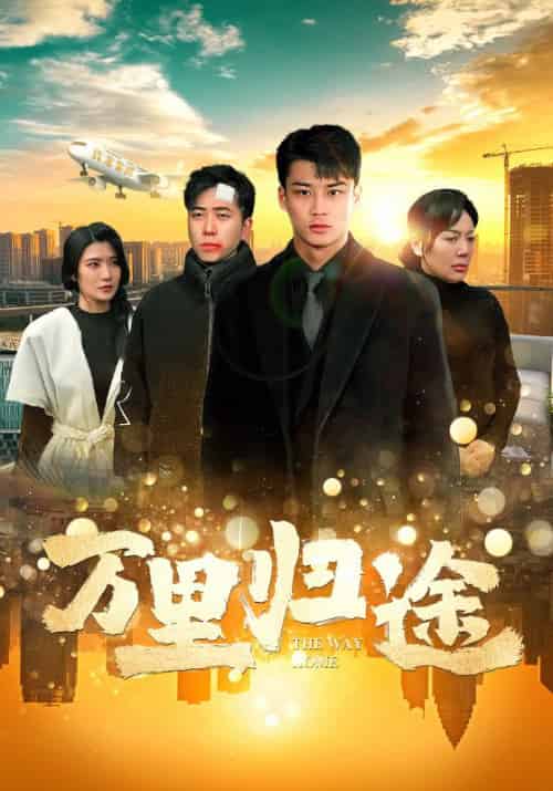 万里归途（70集） - 紫橙阁短剧