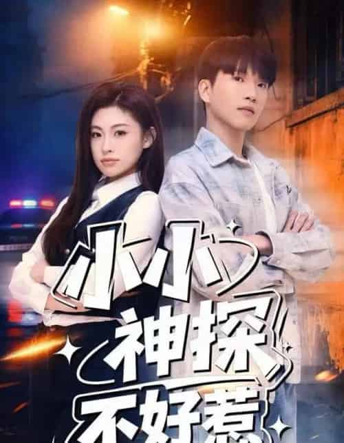小小神探不好惹（80集全）薛一凤＆王奥龙-紫橙网创项目网