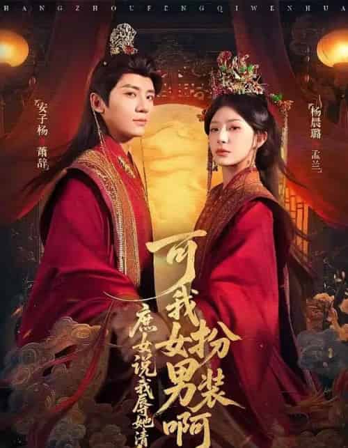 庶女说我辱她清白，可我女扮男装啊（60集全）安子杨＆杨晨璐-紫橙网创项目网