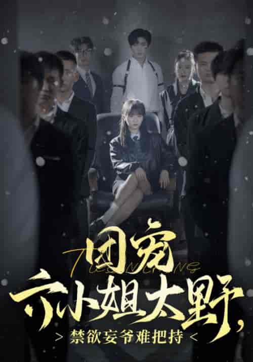 团宠六小姐太野，禁欲妄爷难把持（90集全）秦无妄＆叶笙 - 紫橙阁短剧