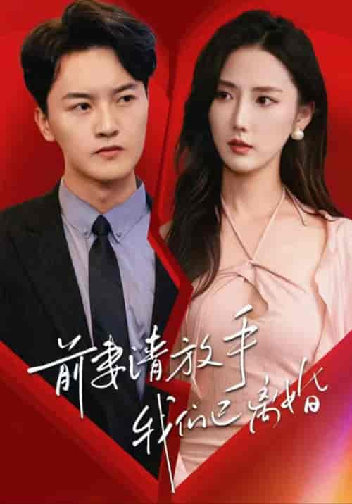 前妻请放手,我们已离婚(86集全)插边剧-紫橙网创项目网