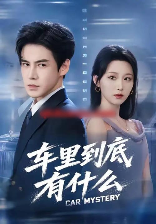 车里到底有什么（51集全）李子锋＆林千仟-紫橙网创项目网