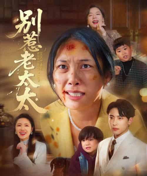 别惹老太太＆谁说她没人撑腰（68集全）陈柯宇＆赵丹-紫橙网创项目网