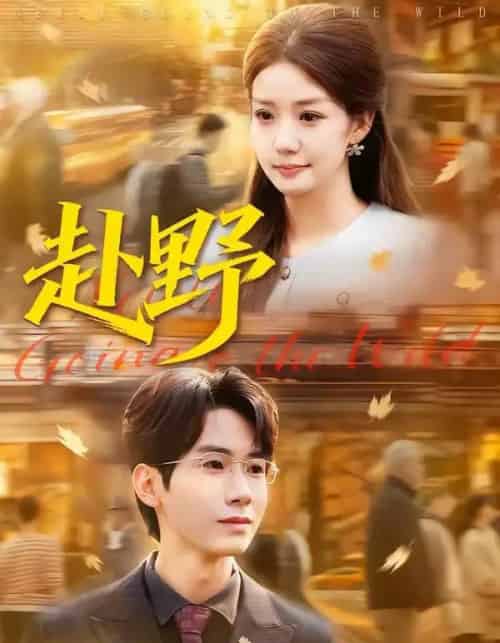 赴野（40集全）宜樊＆丁珂丹-紫橙网创项目网