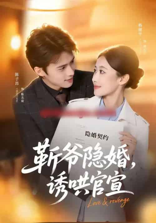 斩爷隐婚,诱哄官宣(80集全)陈子昂&杨丽平-紫橙网创项目网