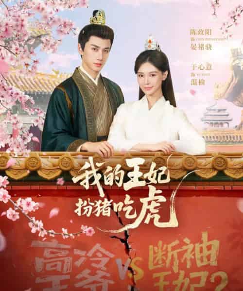 我的王妃扮猪吃虎（79集全）陈政阳＆于心意-紫橙网创项目网
