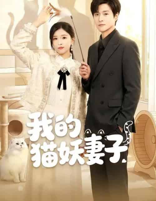 我的猫妖妻子（30集全）刘玉姣＆韩品杰-紫橙网创项目网