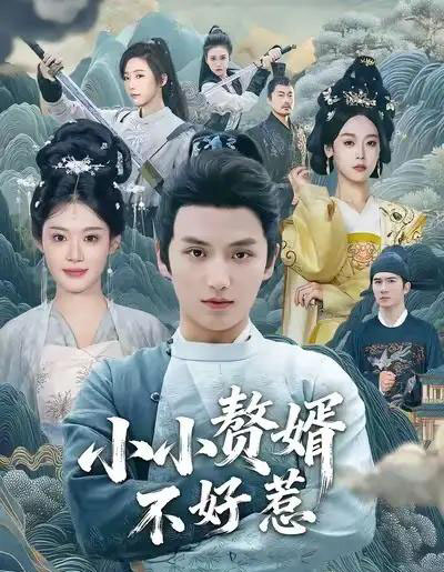 小小赘婿不好惹（64集全）徐凯鑫＆方梨-紫橙网创项目网