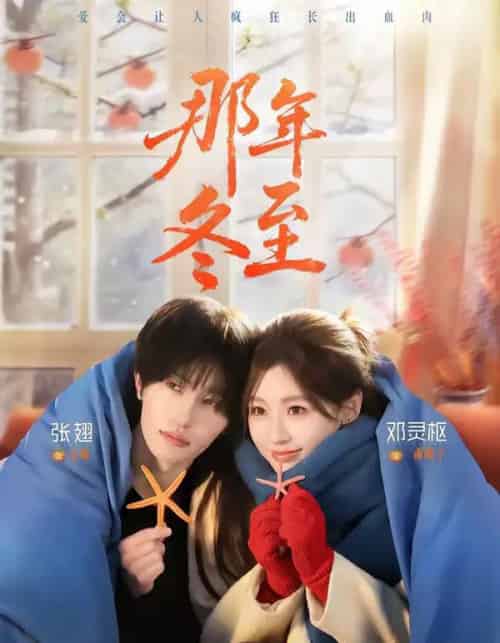 那年冬至（81集全）张翅＆邓灵枢-紫橙网创项目网