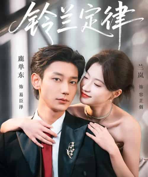 铃兰定律（79集全）鹿单东＆兰岚-紫橙网创项目网