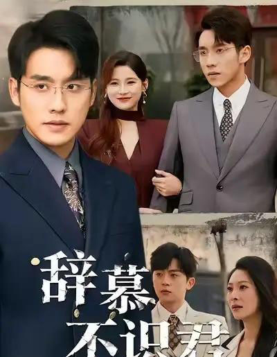 辞慕不识君＆七年情深终成侮（77集全）张宇翔＆宋雯娟-紫橙网创项目网