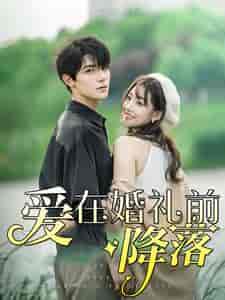 爱在婚礼前降落（50集）白昕怡 朱一未 - 紫橙阁短剧