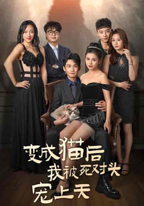 变成猫后被死对头宠上天（86集全）南宫廷逸＆宁萌 - 紫橙阁短剧