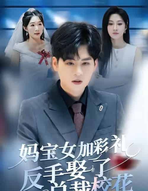 妈宝女加彩礼反手娶了总裁校花（81集全）韩非儿＆毛家和-紫橙网创项目网