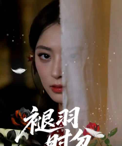 褪羽时分（61集）王美淇＆关潇 - 紫橙阁短剧