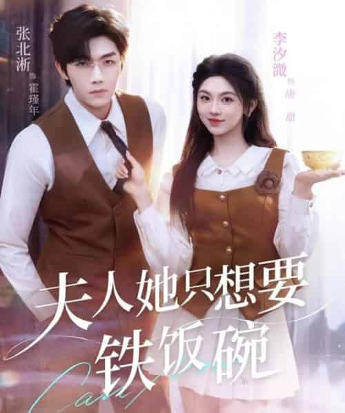 夫人她只想要铁饭碗(60集全)李汐溦&张北淅-紫橙网创项目网