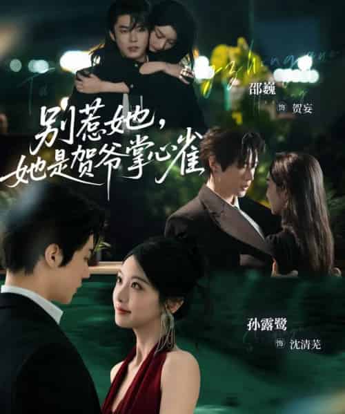 别惹她，她是贺爷掌心雀（69集全）邵巍＆孙露鹭 - 紫橙阁短剧