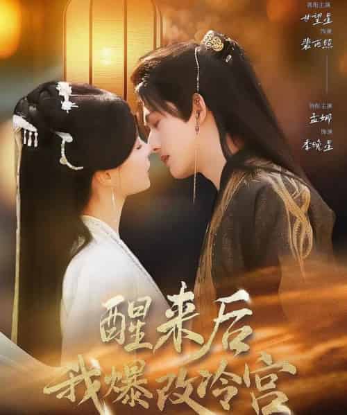 醒来后我爆改冷宫（70集全）甘望星＆孟娜-紫橙网创项目网