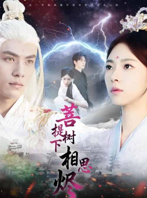 菩提树下相思烬（63集全）文渊＆崔一梁-紫橙网创项目网