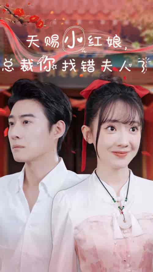 天赐小红娘总裁你找错夫人了（65集全）赵振栋 - 紫橙阁短剧