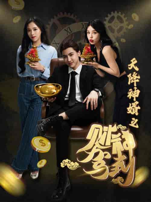 天降神婿之财神驾到（86集全） - 紫橙阁短剧