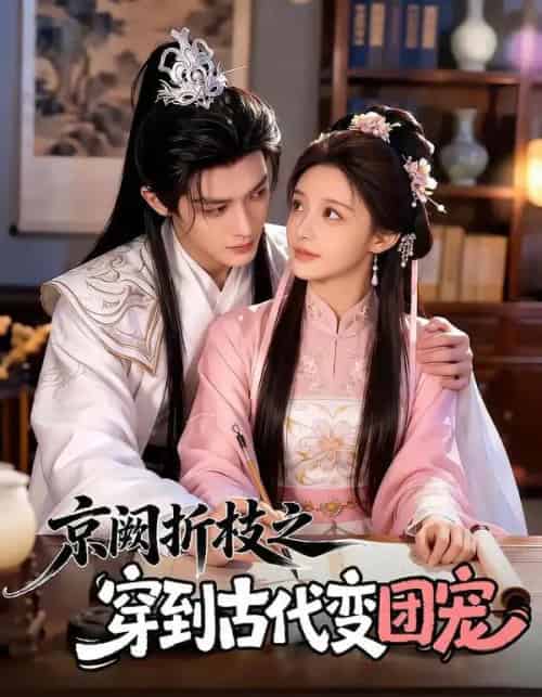 京阙折枝之穿到古代变团宠（60集全）AI-紫橙网创项目网