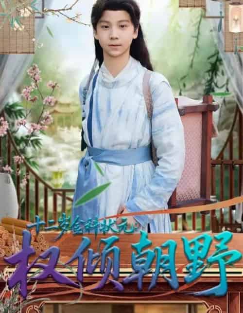 十二岁金科状元：权倾朝野（88集全）鲲羽＆武敏-紫橙网创项目网