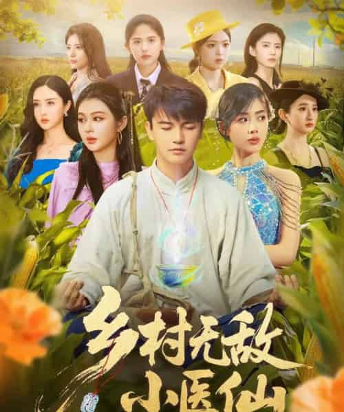 乡村无敌小医仙 乡村无敌小医仙