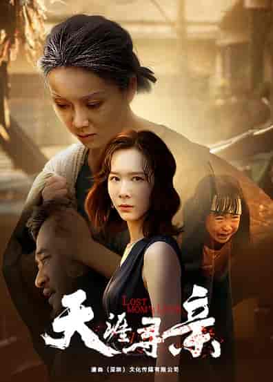 天涯寻亲（57集） - 紫橙阁短剧