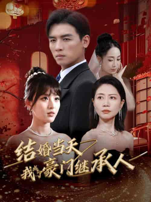 结婚当天我成了豪门继承人（53集全） - 紫橙阁短剧